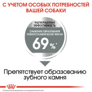 Royal Canin Mini Dental Care Корм сухой для собак мелких размеров, предрасположенных к образованию зубного камня