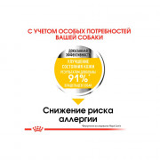 Royal Canin Maxi Dermacomfort Корм сухой для взрослых собак крупных размеров при раздражениях и зуде кожи