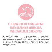 Сухой корм Karmy Delicious Medium and Maxi, для собак средних и крупных пород телятина