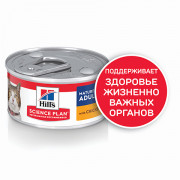 Hill's консервы для пожилых кошек Курица