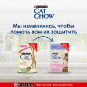 Cat Chow консервы для котят ягненок и кабачок