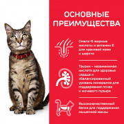 Hill's пауч для взрослых кошек Говядина
