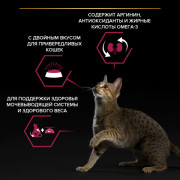 Pro Plan Sterilised Adult SAVOURY DUO корм сухой для взрослых стерилизованных кошек, с высоким содержанием трески и с форелью
