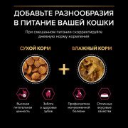 Pro Plan Sterilised Adult SAVOURY DUO корм сухой для взрослых стерилизованных кошек, с высоким содержанием трески и с форелью