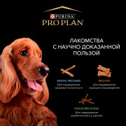 Pro Plan Focus Pro Sticks лакомство для щенков для поддержания развития мозга, с ягненком