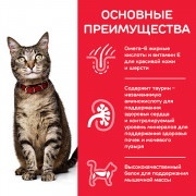 Hill's Science Plan корм консервированный для кошек, индейка