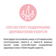 Karmy Delicious сухой корм для взрослых кошек с индейкой