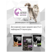 Grand Prix пауч для кошек кусочки в соусе кролик и кабачок