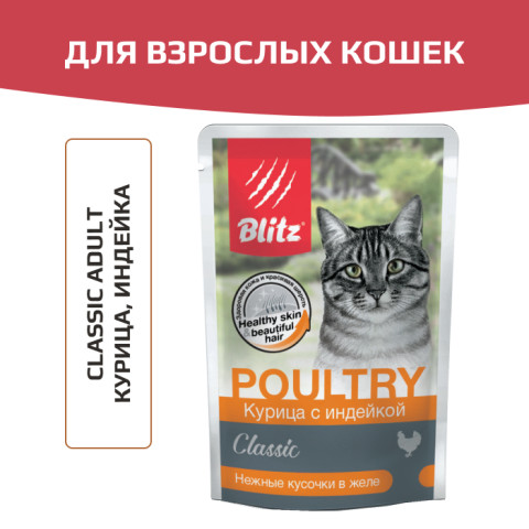 Blitz Classic Chicken & Turkey in Jelly Adult Cat All Breeds корм консервированный для взрослых кошек курица с индейкой нежные кусочки в желе