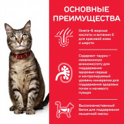 Hill's Science Plan корм сухой для кошек, курица