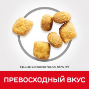 Hill's Science Plan Oral Care корм сухой для кошек для ухода за полостью рта, курица
