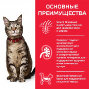 Hill's Science Plan корм сухой для кошек, ягненок