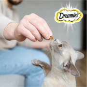 DREAMIES лакомство для кошек микс лосось с сыром