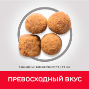 Hill's Science Plan Adult Large Breed корм сухой для взрослых собак крупных пород для поддержания здоровья суставов и мышечной массы, ягненок