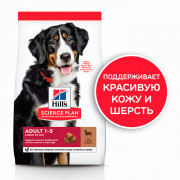 Hill's Science Plan Adult Large Breed корм сухой для взрослых собак крупных пород для поддержания здоровья суставов и мышечной массы, ягненок