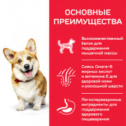 Hill's Science Plan Small & Mini Breed корм сухой для собак мелких и миниатюрных пород, курица