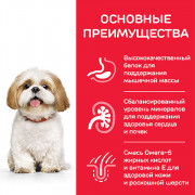 Hill's Science Plan Mature Adult 7+ Small & Mini Breed корм сухой для пожилых собак мелких и миниатюрных пород, курица