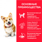 Hill's Science Plan Small & Mini Breed корм сухой для собак мелких и миниатюрных пород, ягненок