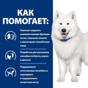 Hill's Prescription Diet k/d + Mobility сухой диетический корм для собак при заболеваниях почек + суставы