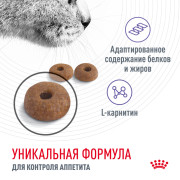 Royal Canin Appetite Control Care корм сухой полнорационный сбалансированный для взрослых кошек для контроля выпрашивания корма