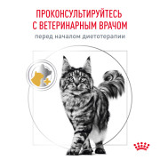 Royal Canin Urinary S/O Moderate Calorie Feline корм сухой для кошек после кастрации стерилизации, избыточный вес, при лечении МКБ