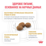 Royal Canin Urinary S/O Moderate Calorie Feline корм сухой для кошек после кастрации стерилизации, избыточный вес, при лечении МКБ