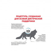 Royal Canin Anallergenic AN 24 Feline корм сухой для кошек, применяемый при пищевой аллергии или пищевой непереносимости некоторых ингредиентов