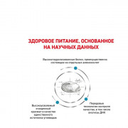 Royal Canin Anallergenic AN 24 Feline корм сухой для кошек, применяемый при пищевой аллергии или пищевой непереносимости некоторых ингредиентов