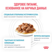 Royal Canin Sensitivity Control Chicken with Rice Корм влажный для взрослых кошек при пищевой аллергии, курица