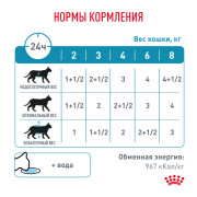 Royal Canin Sensitivity Control Chicken with Rice Корм влажный для взрослых кошек при пищевой аллергии, курица