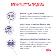 Royal Canin Neutered Satiety Balance Корм сухой полнорационный для взрослых кошек - стерилизованных или склонных к набору веса с момента стерилизации до 7 лет