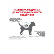 Royal Canin Skin Care small dog корм сухой полнорационный диетический для собак для поддержания защитных функций кожи при дерматозах  выпадении шерсти