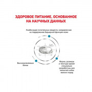 Royal Canin Skin Care small dog корм сухой полнорационный диетический для собак для поддержания защитных функций кожи при дерматозах  выпадении шерсти