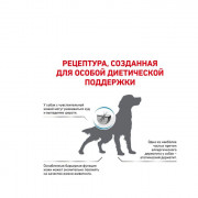 Royal Canin Skin Support корм сухой диетический для собак предназнач. для поддержания защитных функций кожи при дерматозах чрезмерном выпадении шерсти