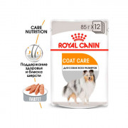Royal Canin COAT CARE Паштет для взрослых собак с тусклой и сухой шерстью