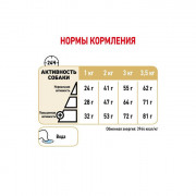 Royal Canin Pomeranian Adult Корм сухой для взрослых собак породы Померанский Шпиц