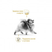 Royal Canin Pomeranian Adult Корм сухой для взрослых собак породы Померанский Шпиц