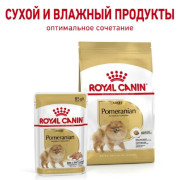 Royal Canin Pomeranian Adult Корм сухой для взрослых собак породы Померанский Шпиц