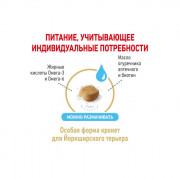 Royal Canin YORKSHIRE TERRIER ADULT 8+ Корм сухой полнорационный для стареющих собак породы йоркширский терьер старше 8 лет