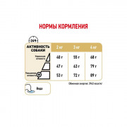 Royal Canin YORKSHIRE TERRIER ADULT 8+ Корм сухой полнорационный для стареющих собак породы йоркширский терьер старше 8 лет