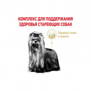 Royal Canin YORKSHIRE TERRIER ADULT 8+ Корм сухой полнорационный для стареющих собак породы йоркширский терьер старше 8 лет