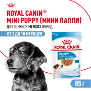 Royal Canin Mini Puppy консервированный для щенков мелких пород в возрасте до 10 месяцев, кусочки в соусе