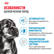 Royal Canin Mini Puppy консервированный для щенков мелких пород в возрасте до 10 месяцев, кусочки в соусе
