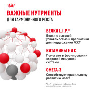 Royal Canin Mini Puppy консервированный для щенков мелких пород в возрасте до 10 месяцев, кусочки в соусе