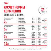 Royal Canin Mini Puppy консервированный для щенков мелких пород в возрасте до 10 месяцев, кусочки в соусе
