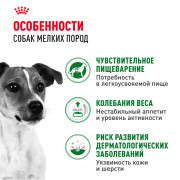 Royal Canin Mini Adult консервированный для взрослых собак мелких размеров от 10 месяцев, кусочки в соусе