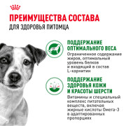Royal Canin Mini Adult консервированный для взрослых собак мелких размеров от 10 месяцев, кусочки в соусе