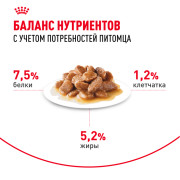 Royal Canin Mini Adult консервированный для взрослых собак мелких размеров от 10 месяцев, кусочки в соусе