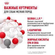 Royal Canin Mini Adult консервированный для взрослых собак мелких размеров от 10 месяцев, кусочки в соусе