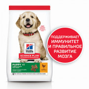 Hill's Science Plan Puppy Large Breed корм сухой для щенков крупных пород, курица